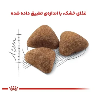 غذای گربه Royal Canin Indoor برای گربه‌های داخل منزل با هضم آسان