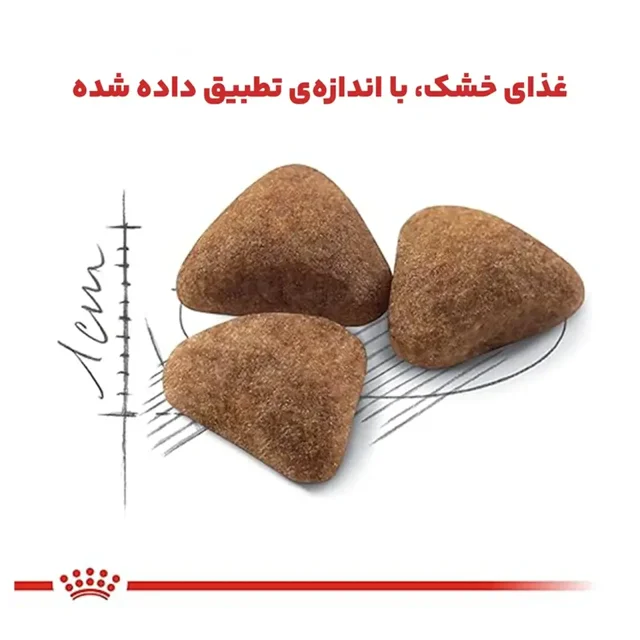غذای گربه Royal Canin Indoor برای گربه‌های داخل منزل با هضم آسان