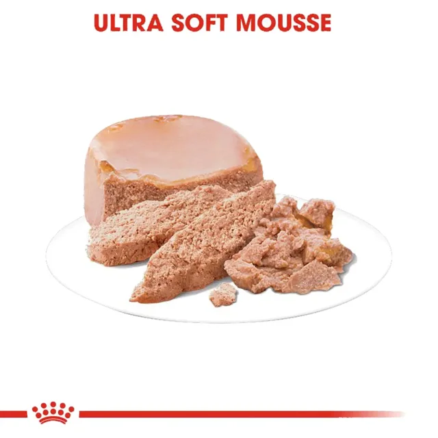 Royal Canin Mother & Babycat 195g غذای مرطوب برای مادران و بچه گربه‌ها پک 4 تایی