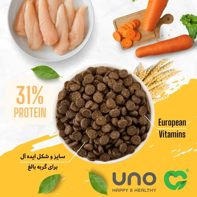 UNO Adult Cat Food 10KG غذای خشک گربه بالغ اونو مناسب تغذیه روزانه